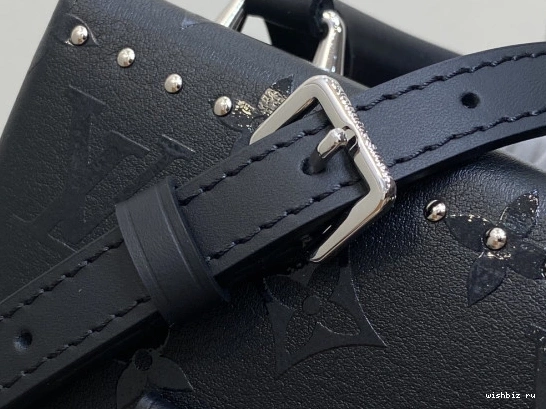 WIS VUITTON Box Camera Canvas Monogram LOUIS 0225